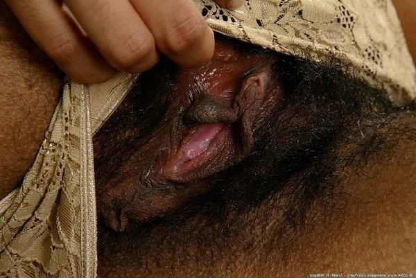 14P Seta shows her dark pussy patch
