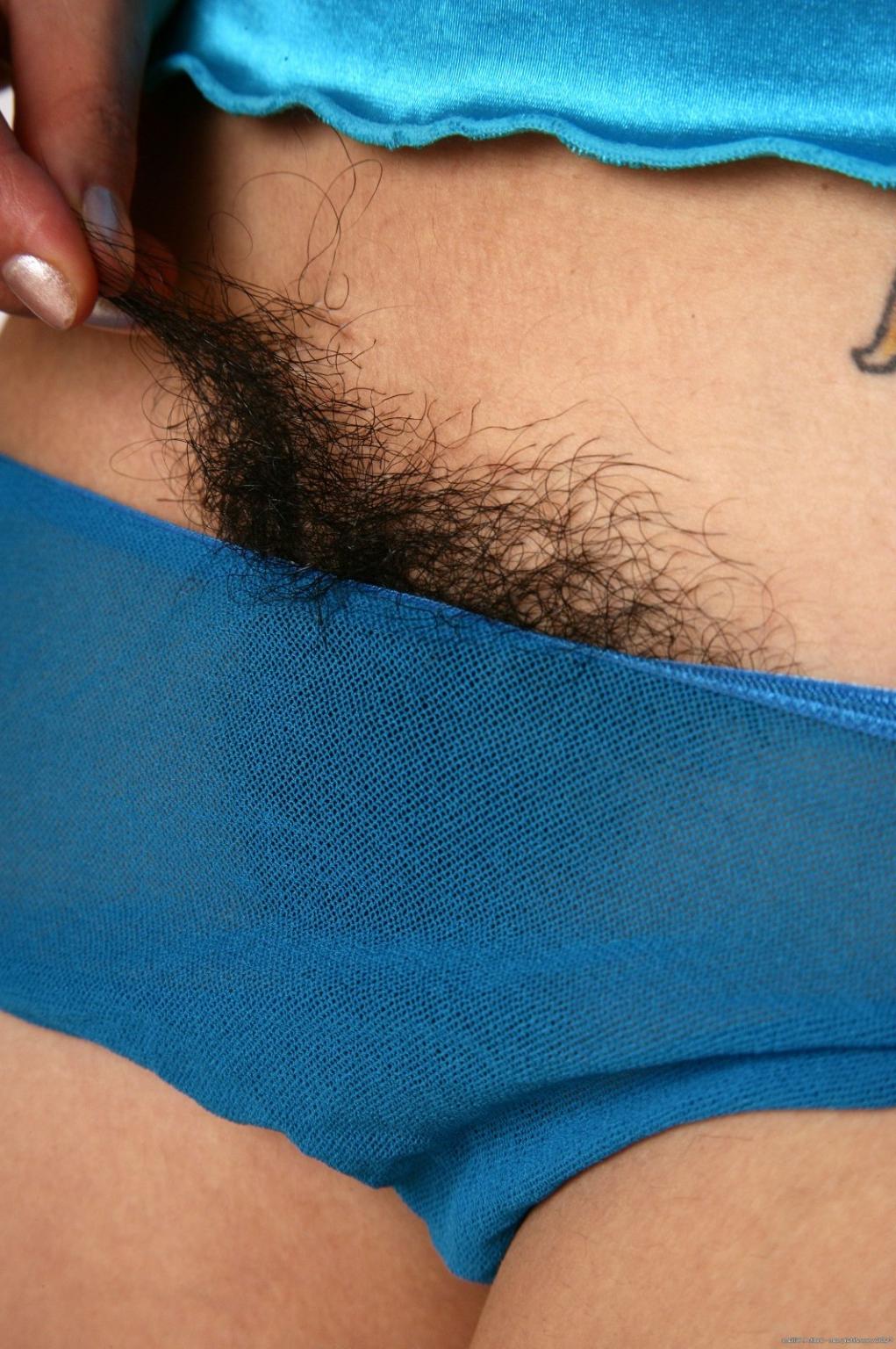 15P Hirsute ebony amateur spreading hairy pussy
