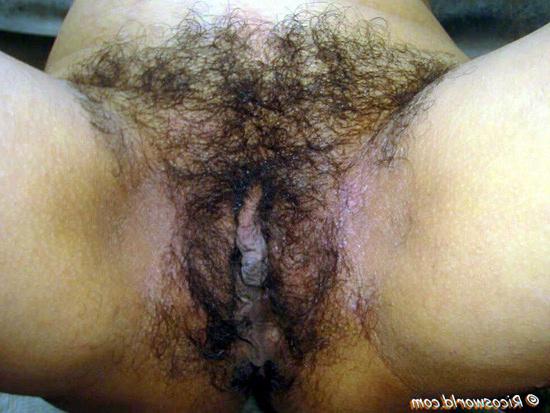 15P Massively hairy black bush