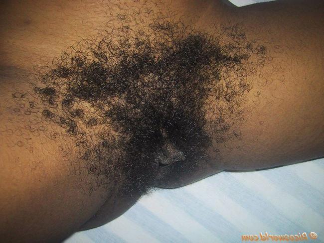 15P Massively hairy  bush on this black chick