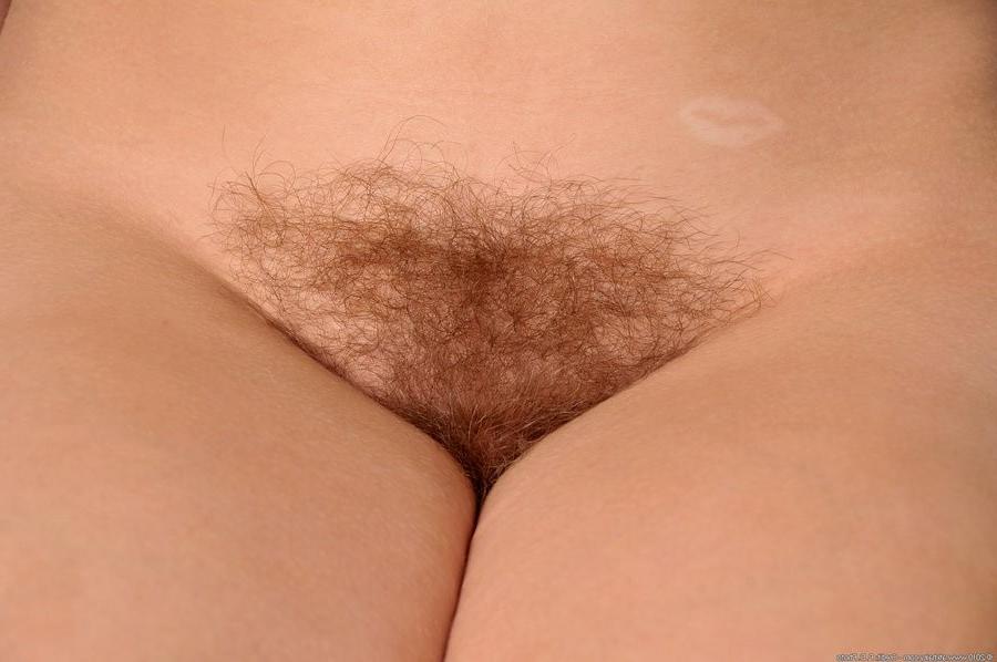 16P Hairy Blonde Babe Spreads Her Sweet Furry Pussy Lips