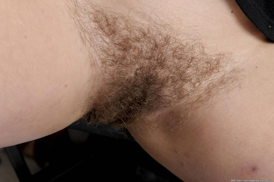 15P Shapely Hairy Blond Amateur Exposes Her Furry Pussy