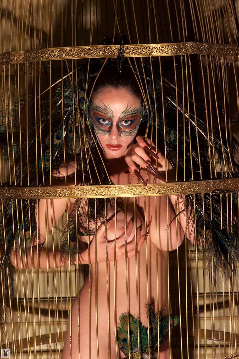 20P Things get wild at the Masked Ball