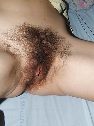 25P Hairy holed ho's