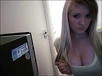 25P Scottish Burd in CelticTop
