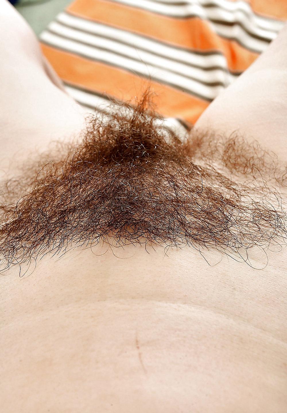 25P Sexy Favorties #18 (Hairy Pussy Edition)