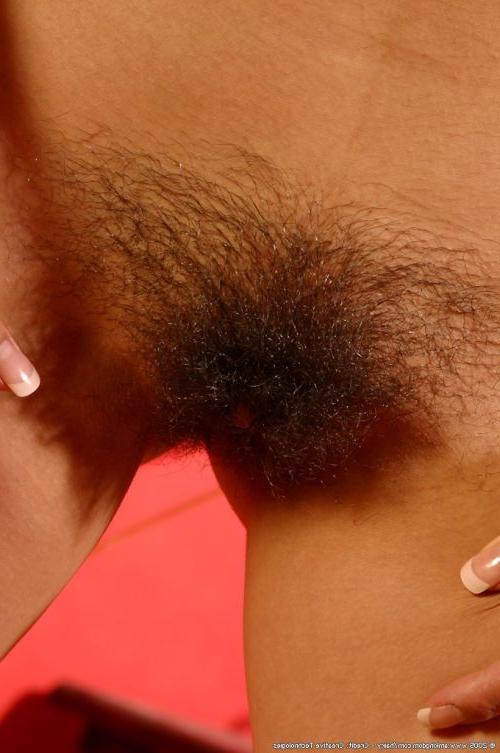 15P Cute brunette with hairy bush