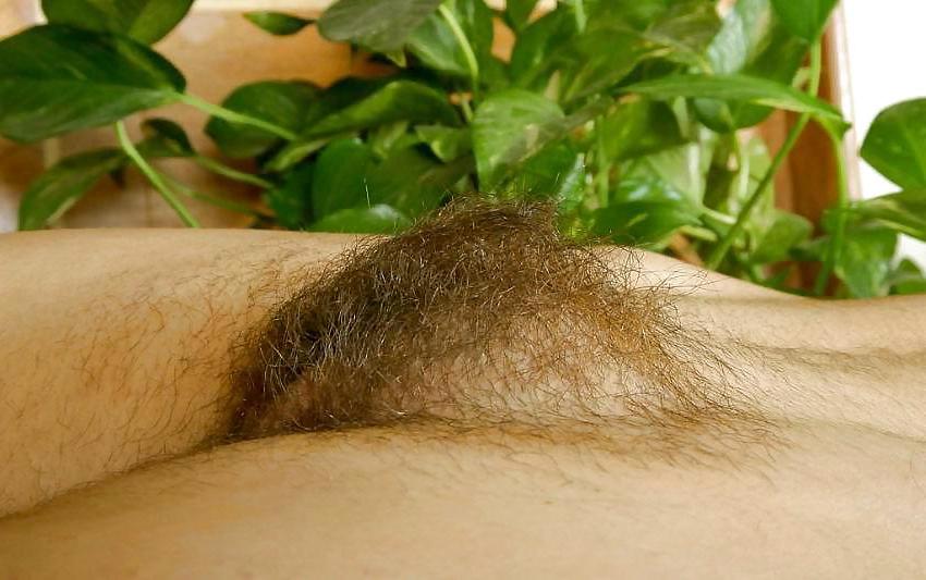 25P A mix of hairy women pix
