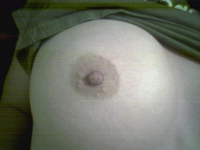 15P Various selfshooting hotties