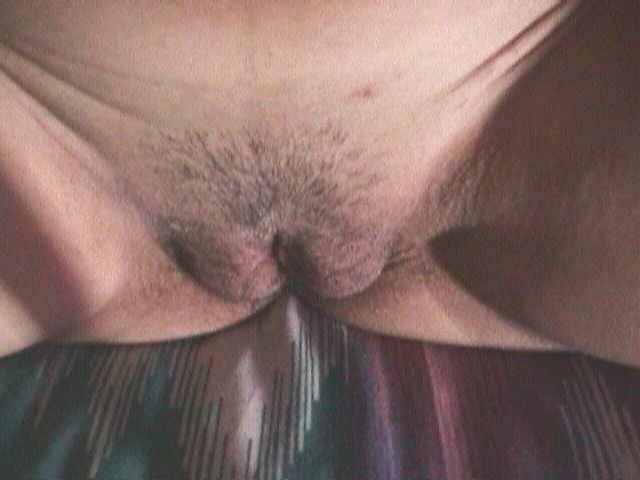 15P Collection of delicious pussies