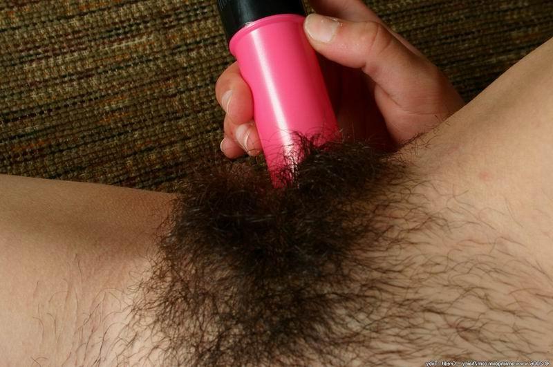 16P hairy pussy and pits brunette toying