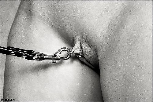 25P Collar