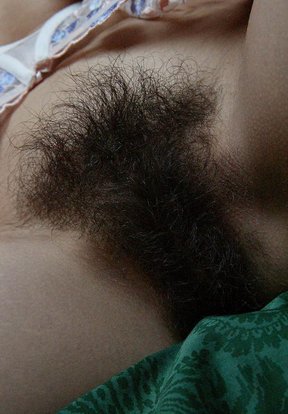 14P Hairy pussy amateur spreading legs