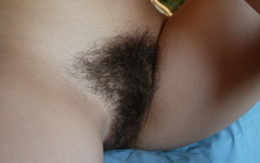 14P Hairy pussy amateur spreading legs