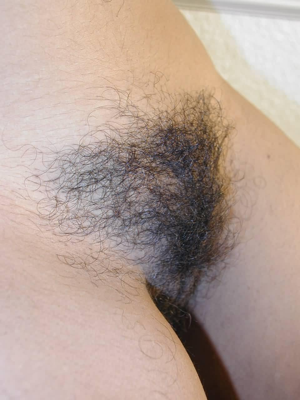 15P Foxy chick with a full bush