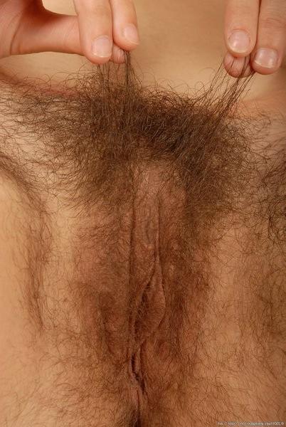 14P Stella exposes her natural boobs and hairy coochy