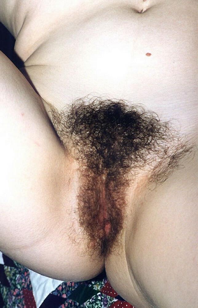 15P Hairy pussy girls posing gallery 1