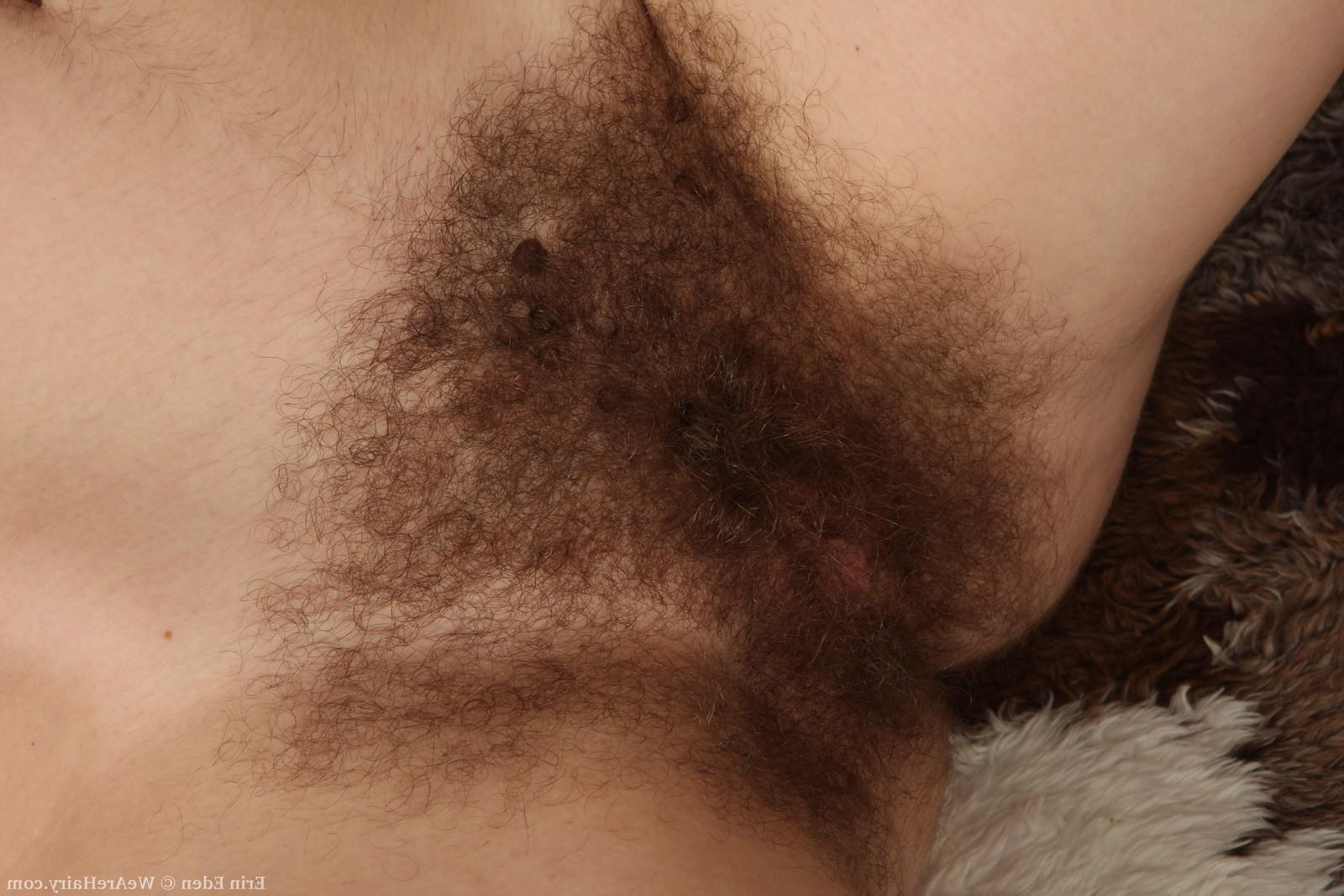 16P Hairy amateur babe Erin Eden is a wonderful natural gift