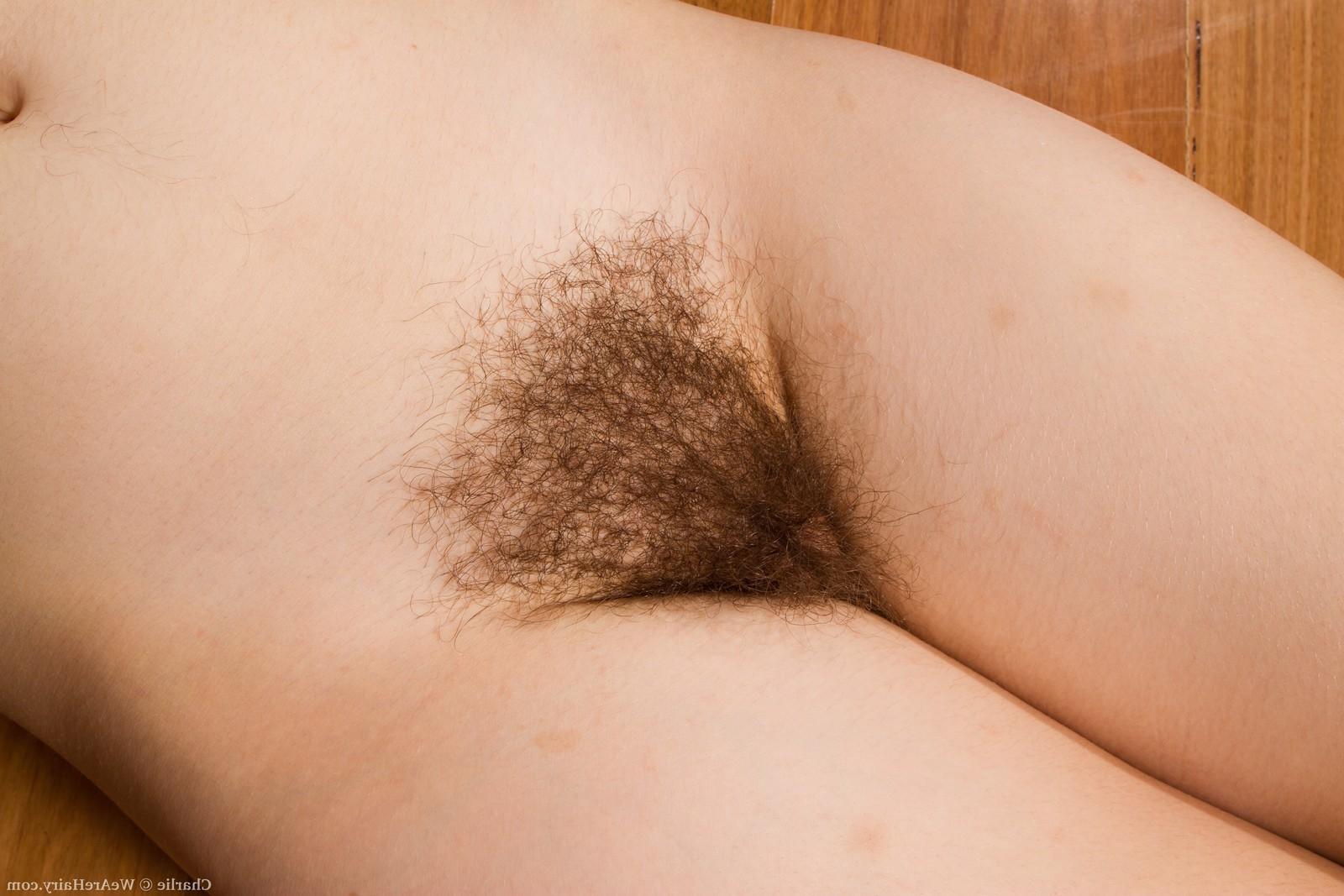 16P Cute amateur Charlie fingers her hairy pussy