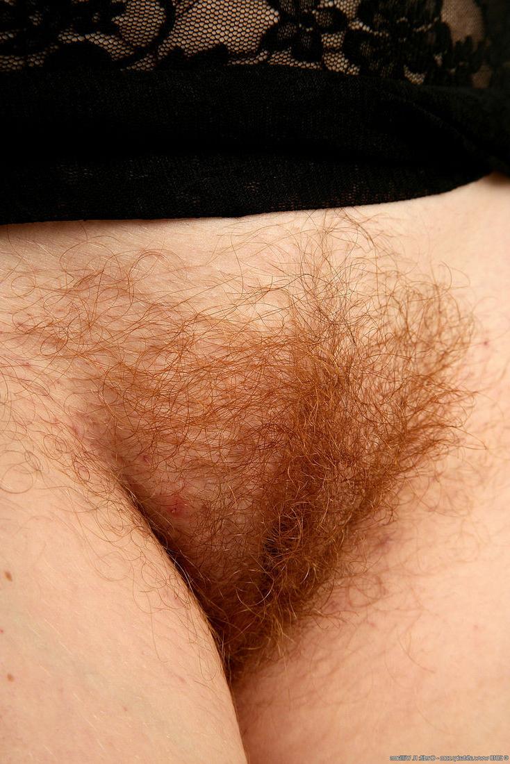 14P Hairy pussy natural amateur redhead spreading