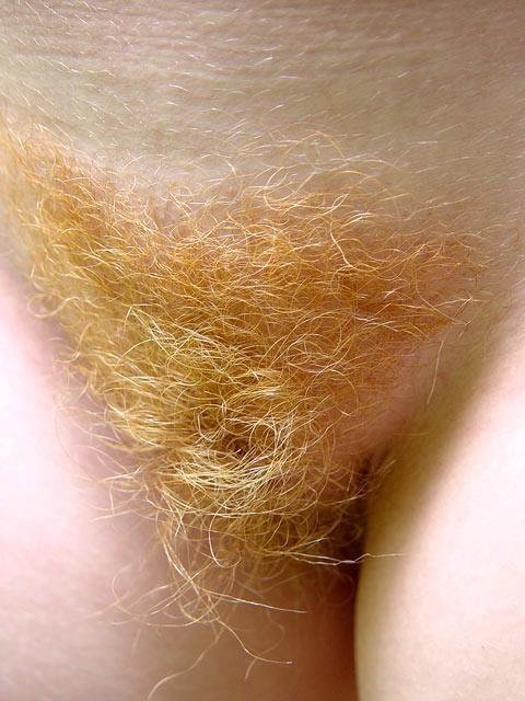 14P Hairy pussy redhead hippie girl gets naked