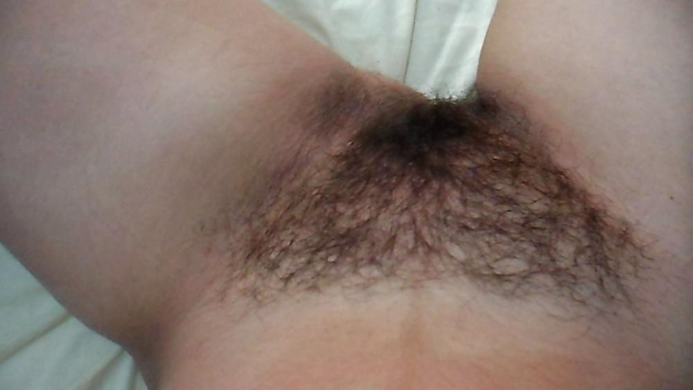 14P Wife perfect hairy pussy