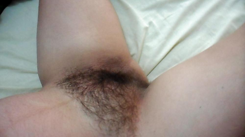 14P Wife perfect hairy pussy