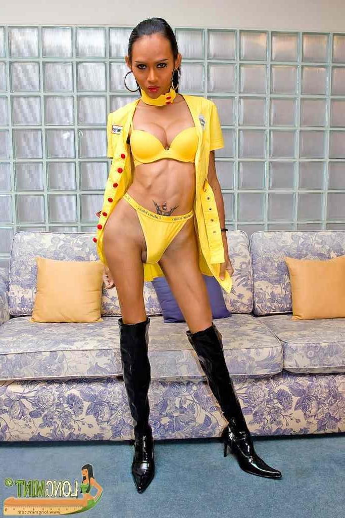 16P Hot shemale with a big dick gets hard with a dildo in her ass