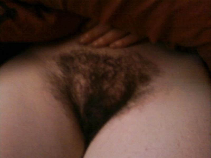 7P Hairy pussy