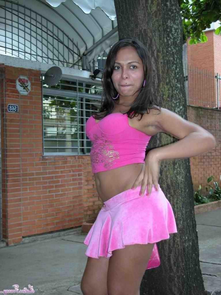 11P Latin Shemale Monique  Sucks then Fucks a Stranger she Meets on 