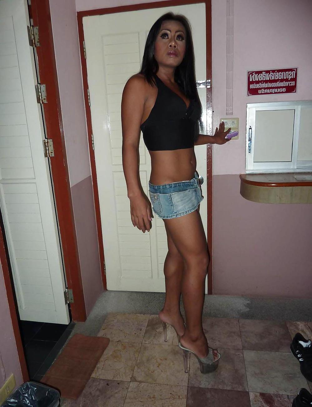 15P Sexy Ladyboy Shemale Tranny