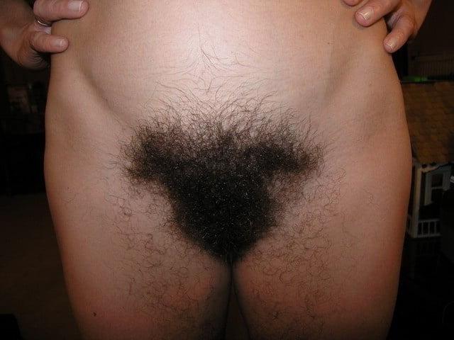 25P Hairy Pussy