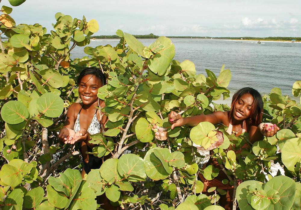 25P CUTE BLACK TEENS ON THE BEACH II
