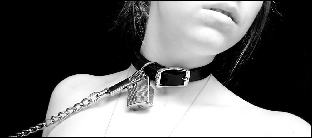 19P Leashed 1!