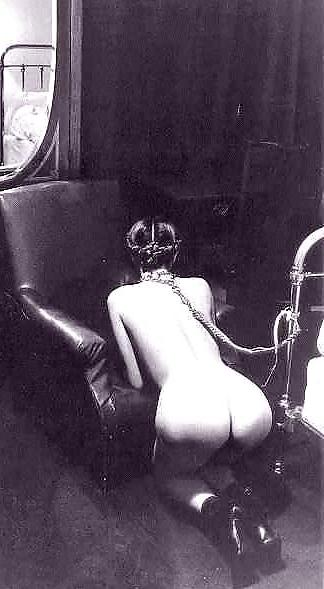 19P Leashed 1!