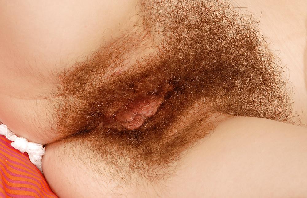 25P Hairy kitty