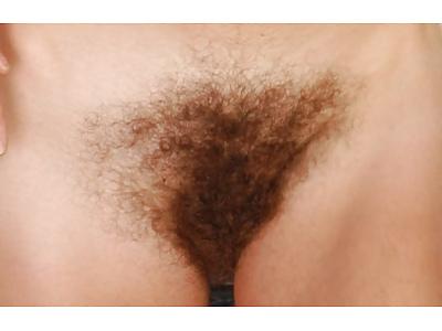 25P Beautiful hairy pussys.
