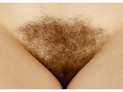 25P Beautiful hairy pussys.