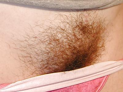 25P Beautiful hairy pussys.