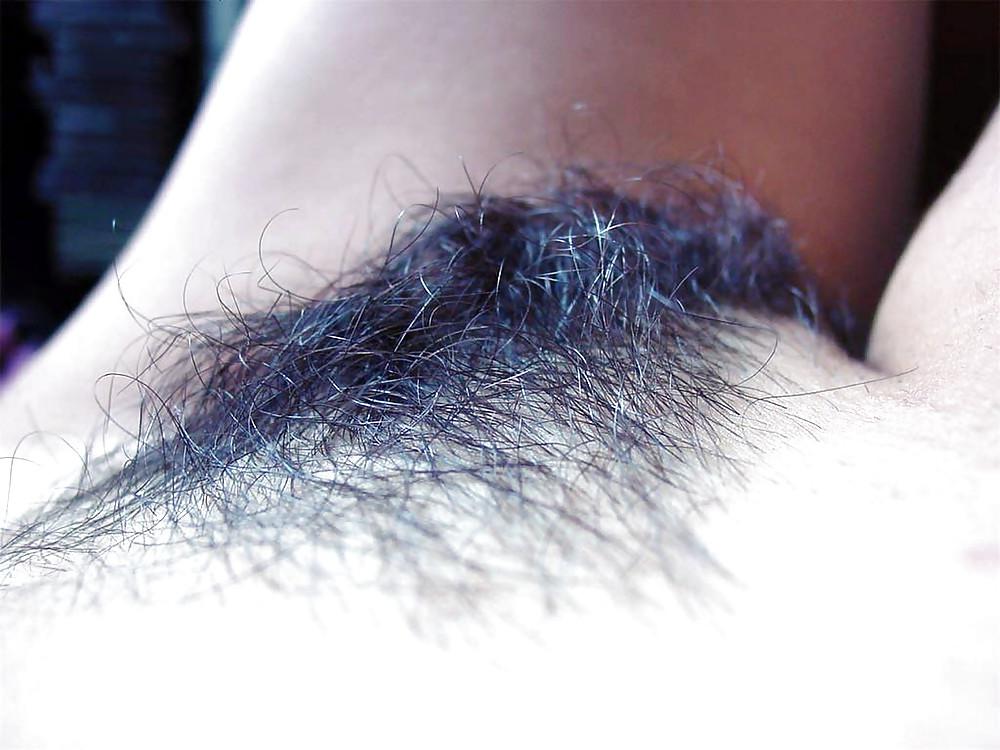 16P Hairy Teen