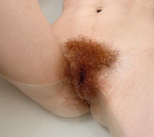 12P hairy pussy 2