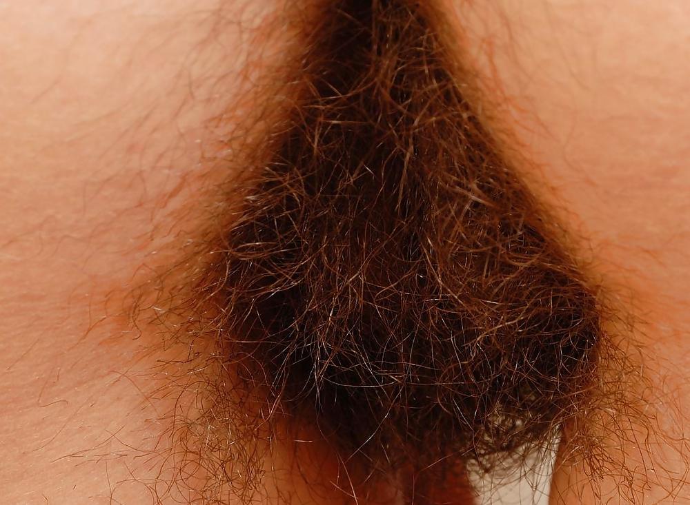 15P Girls Hairy Pussy 2