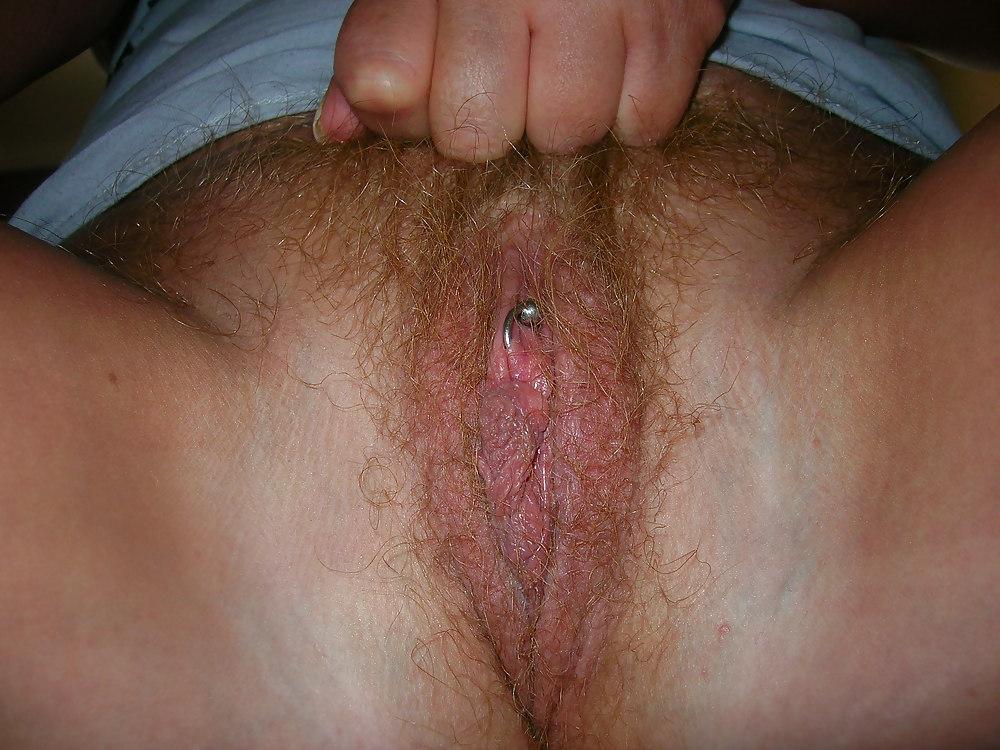 21P Hairy bush