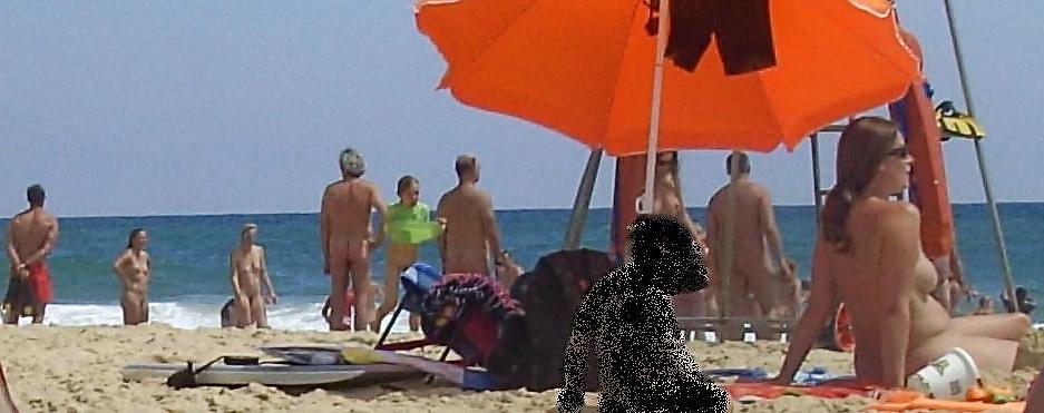 20P Biarriz naked beach 2011