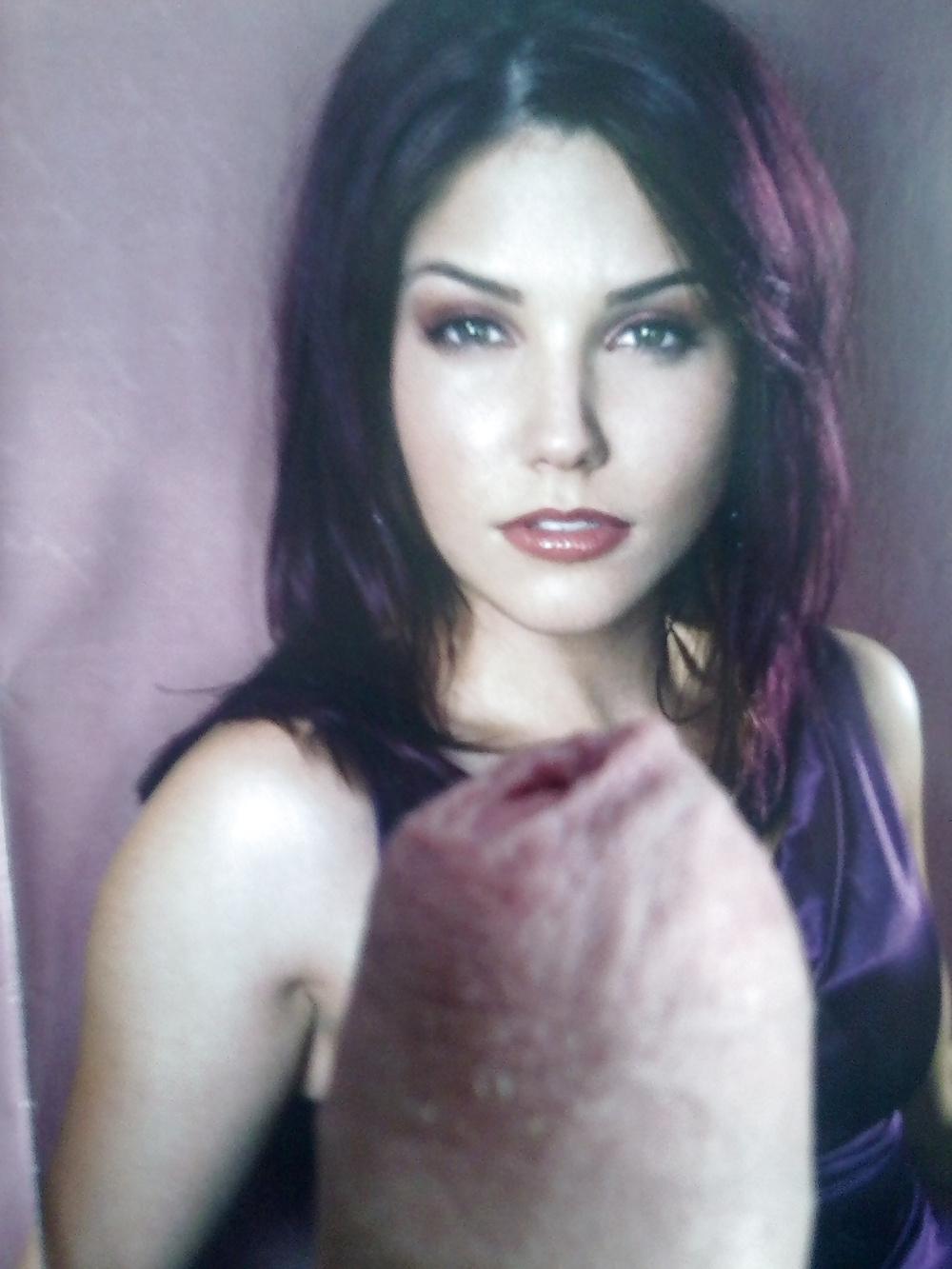 14P Sophia bush
