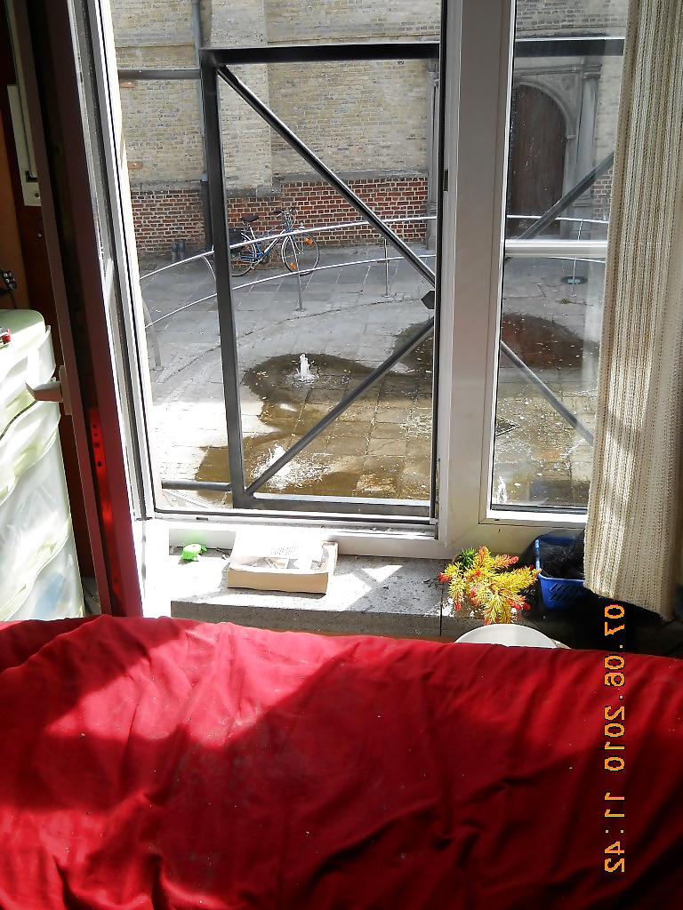 6P Strip in front of window