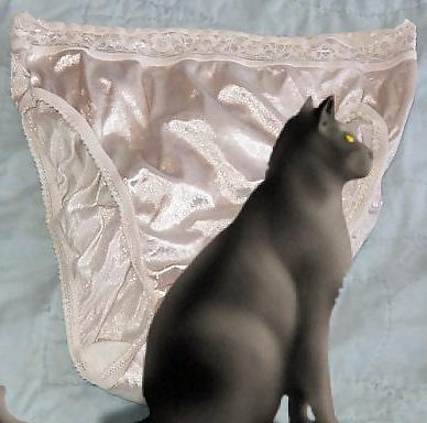 23P Nylon Panty Scans Pics