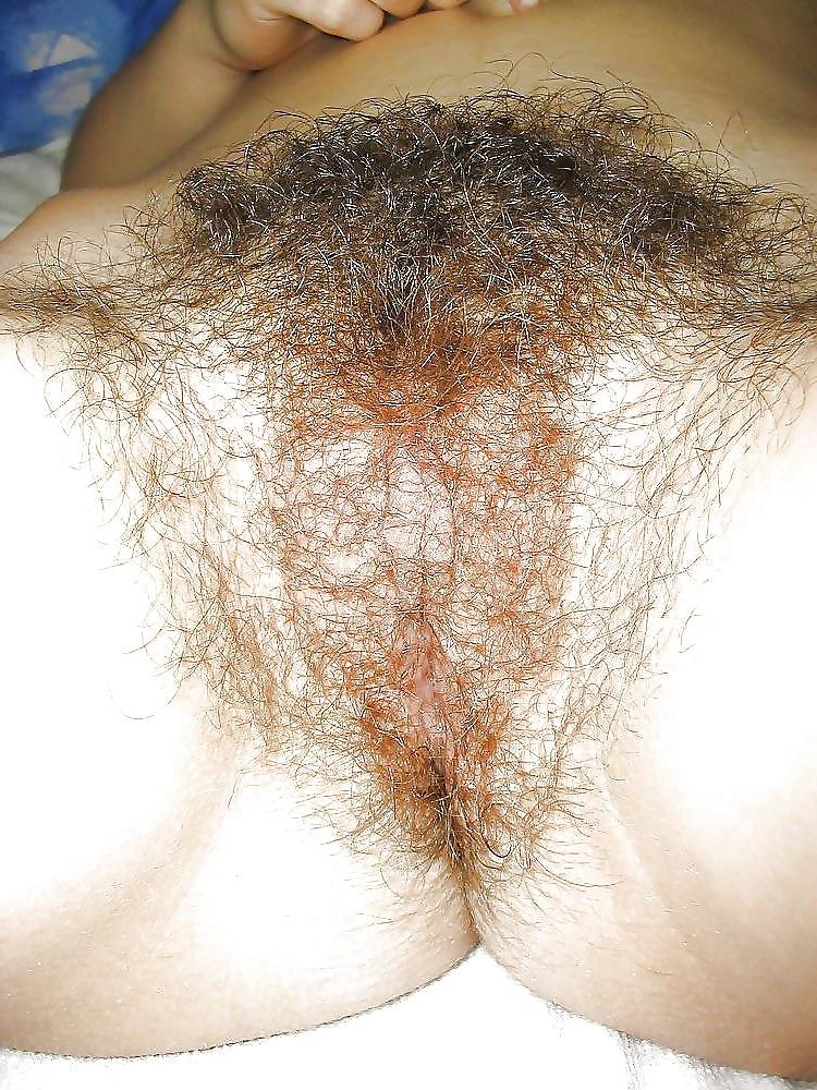 25P Love full bush