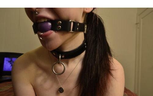25P Collared and leashed bitches