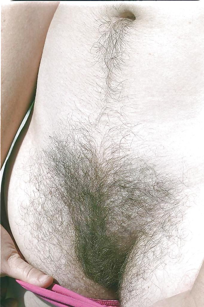 25P More hairy cunts, pits, legs, asses and treasure trails...